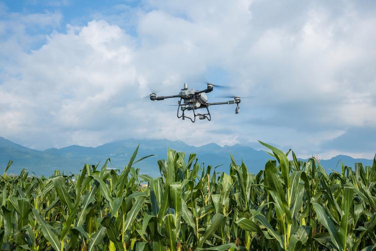 零度农用无人机如何赋能智慧农业？-第2张图片-宁夏农业信息网