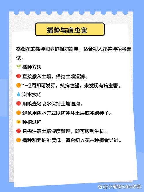 盆栽格桑花怎么养？-第1张图片-宁夏农业信息网