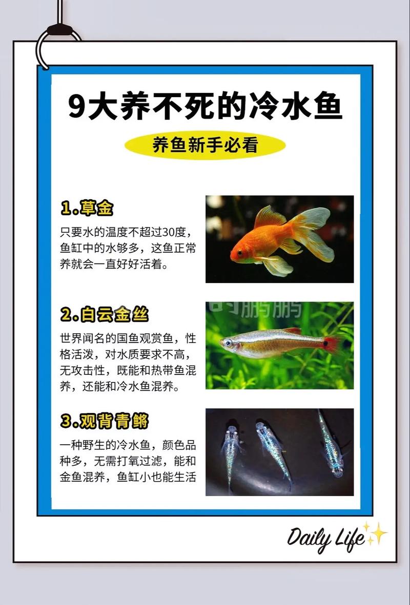 水产养殖排放有哪些具体要求？-第3张图片-宁夏农业信息网