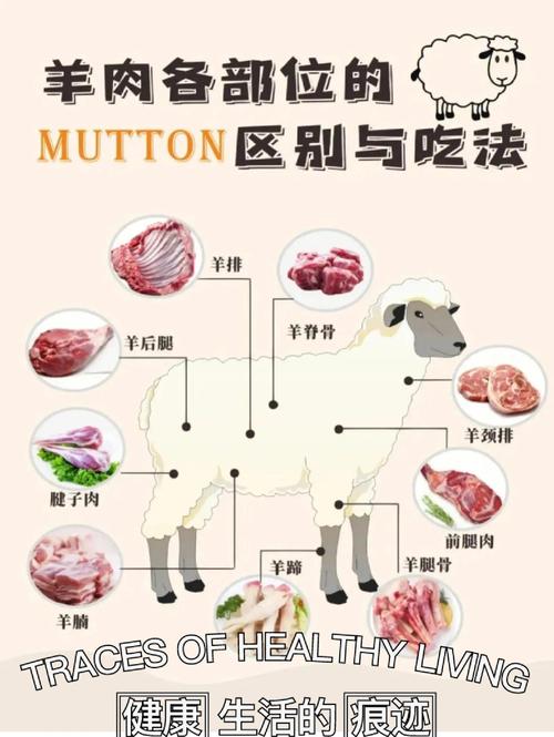 肉羊新品种培育有哪些核心方法？-第2张图片-宁夏农业信息网