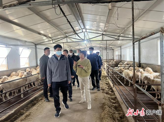 肉羊新品种培育有哪些核心方法？-第3张图片-宁夏农业信息网