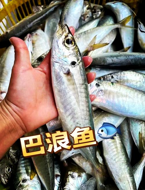 海浪花与河东水产有何关联？-第2张图片-宁夏农业信息网