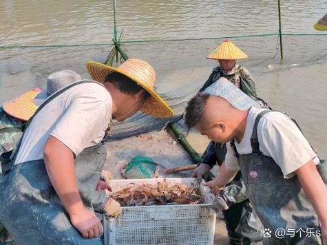 中国水产特种养殖有何新趋势？-第1张图片-宁夏农业信息网