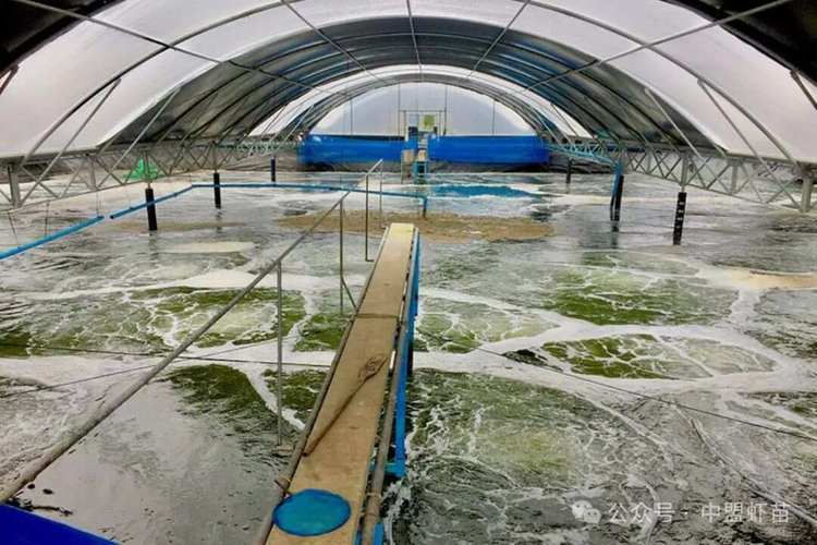 中国水产特种养殖有何新趋势？-第2张图片-宁夏农业信息网
