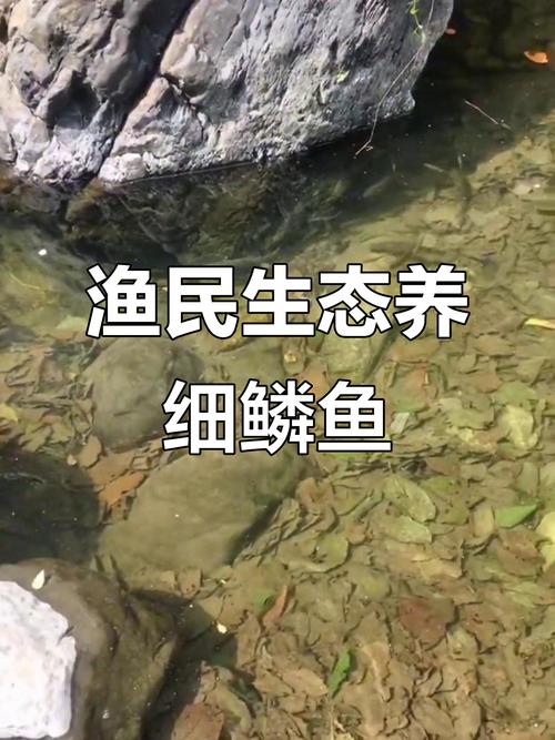 中国水产特种养殖有何新趋势？-第3张图片-宁夏农业信息网