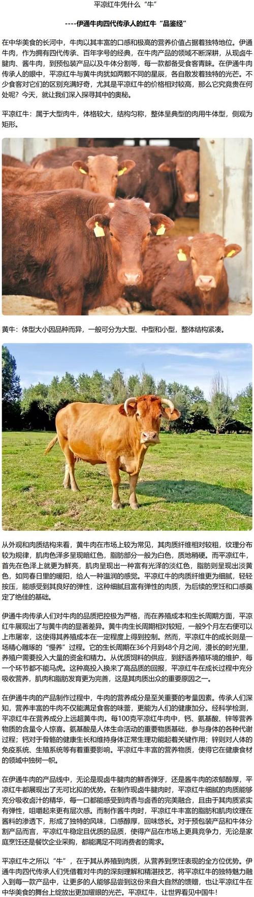 我国主要引进哪些牛品种？-第2张图片-宁夏农业信息网