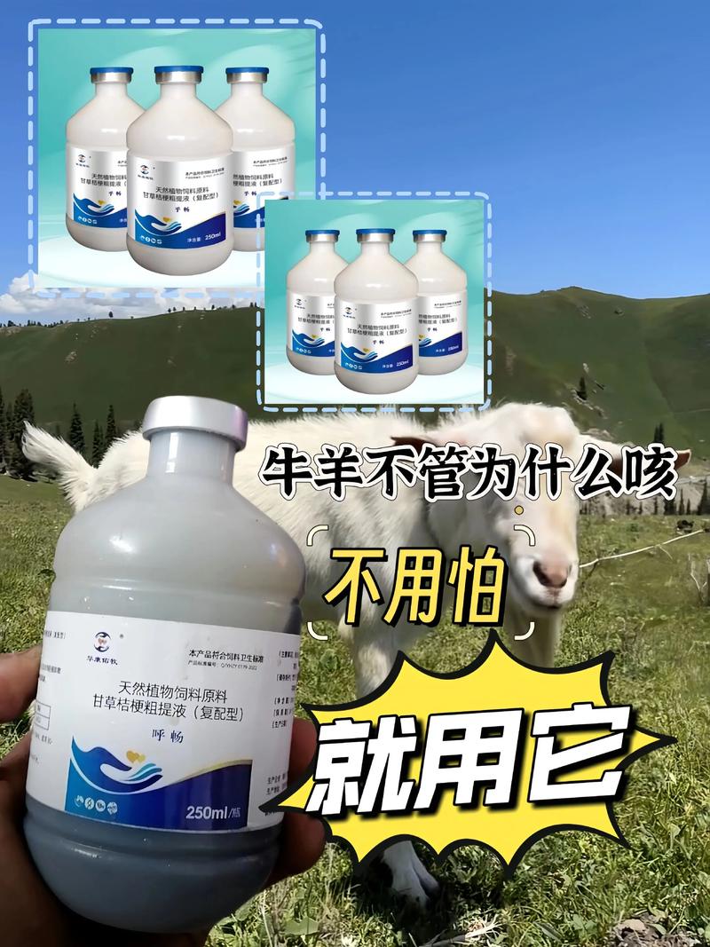 羊病有哪些有效的治疗方法?-第1张图片-宁夏农业信息网 羊病有哪些有效的治疗方法?-第1张图片-宁夏农业信息网