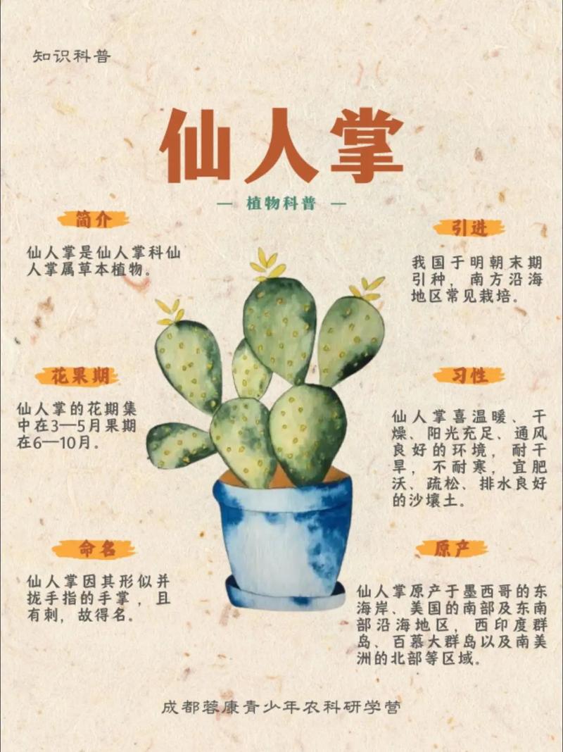 仙人掌品种名称有哪些？-第1张图片-宁夏农业信息网