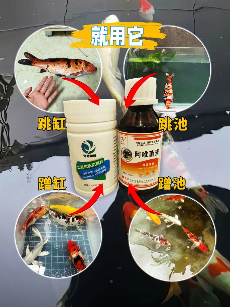 水产用二氧化氯具体有哪些功效？-第1张图片-宁夏农业信息网