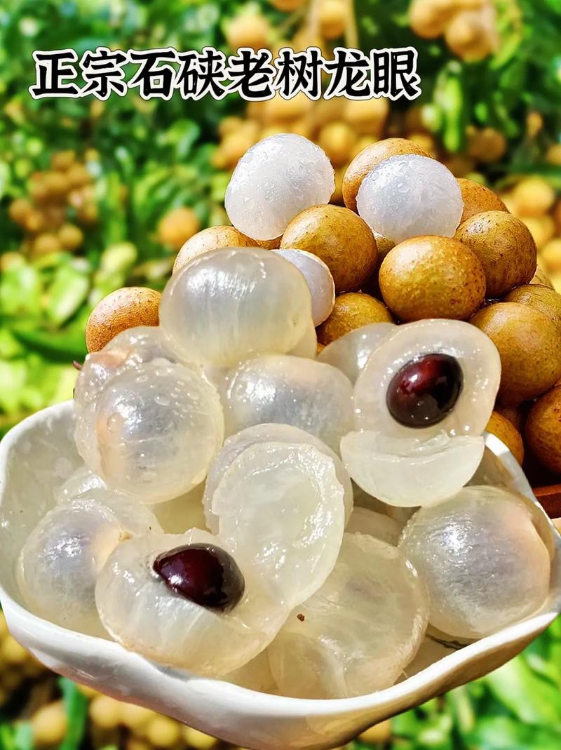 世界上最好的龙眼品种是哪个？-第2张图片-宁夏农业信息网