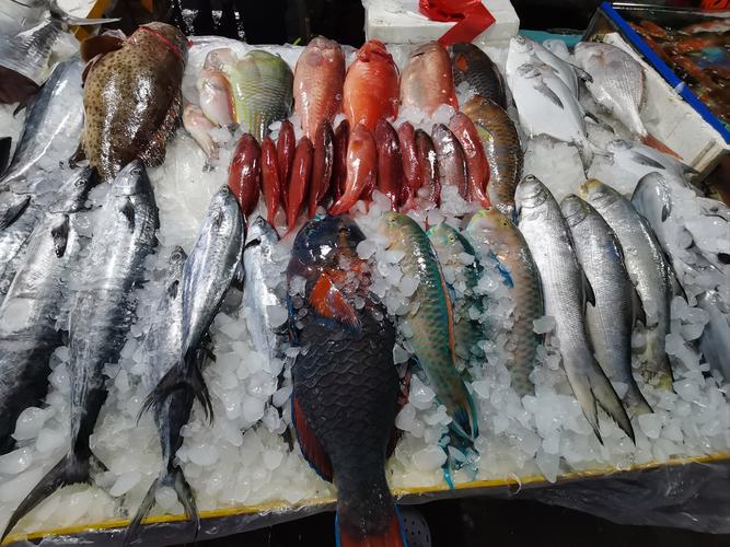 青龙场水产品批发市场几点开门？-第2张图片-宁夏农业信息网