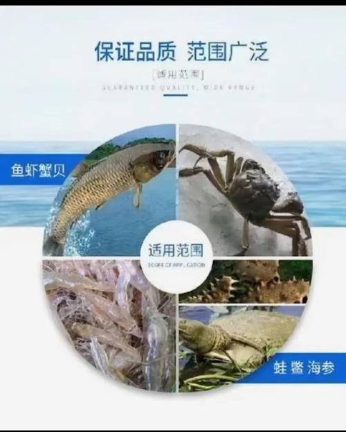 水产乳酸菌怎么用才有效？-第3张图片-宁夏农业信息网