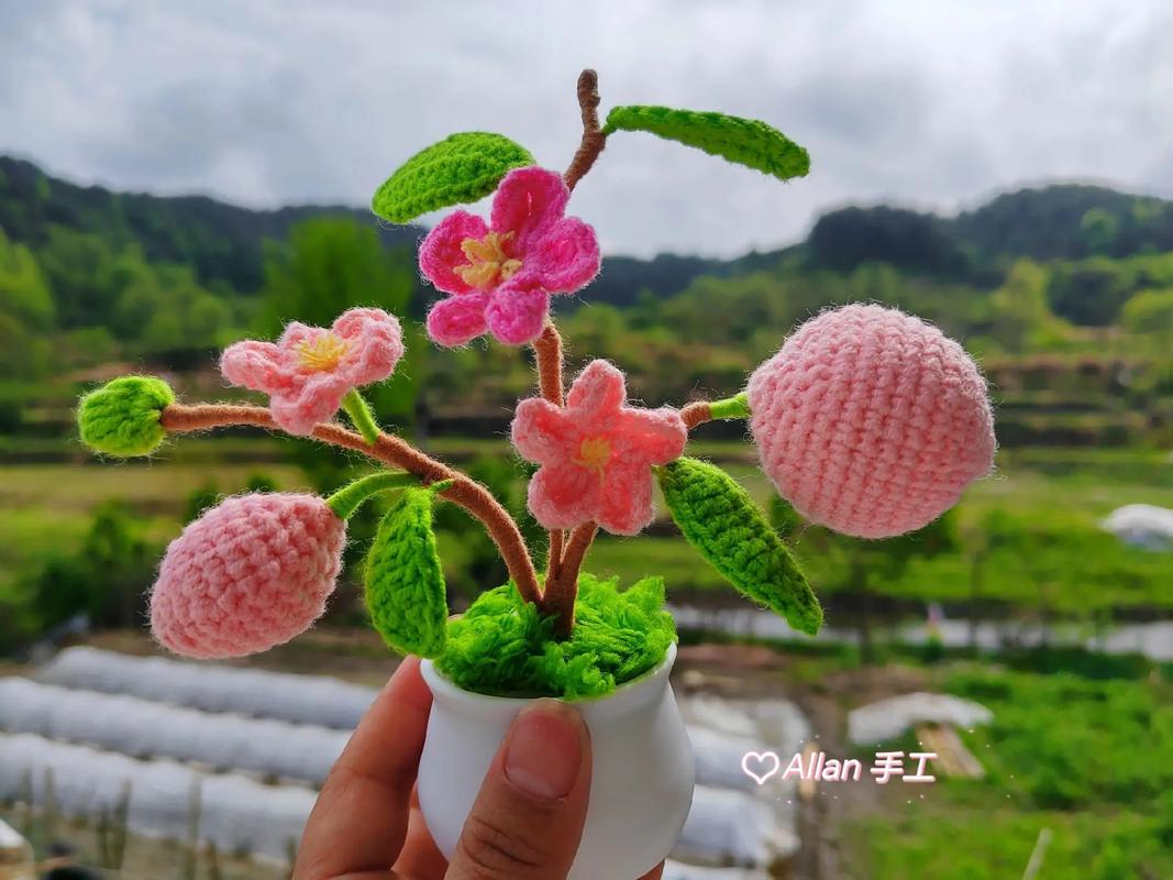 桃花盆栽自己怎么制作？-第1张图片-宁夏农业信息网