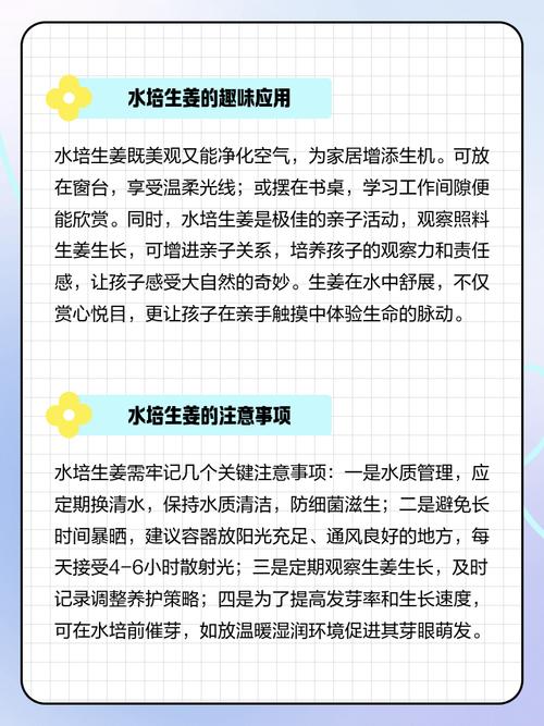 生水培姜怎么制作方法-第1张图片-宁夏农业信息网