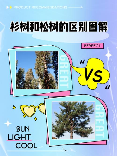 树干分株繁殖方法叫什么？-第1张图片-宁夏农业信息网