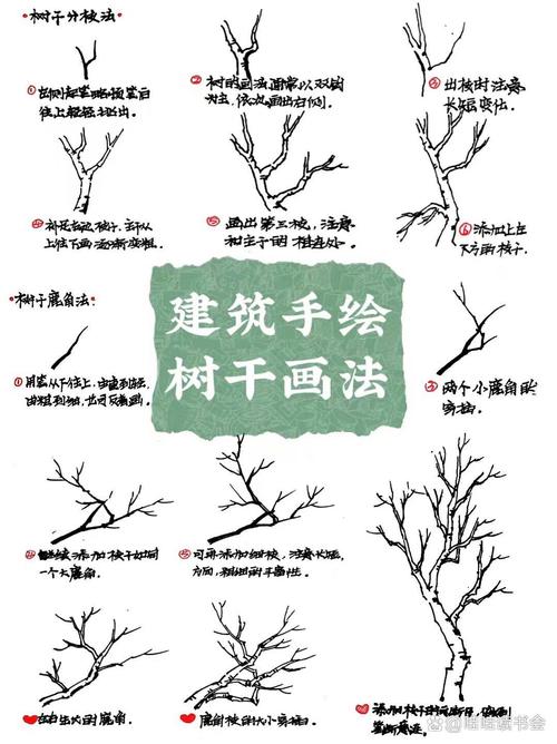 树干分株繁殖方法叫什么？-第3张图片-宁夏农业信息网