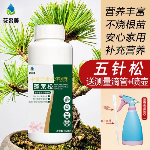 五针松施肥，何时施？怎么施？-第3张图片-宁夏农业信息网