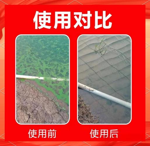 二氧化氯水产养殖危害有哪些？-第3张图片-宁夏农业信息网