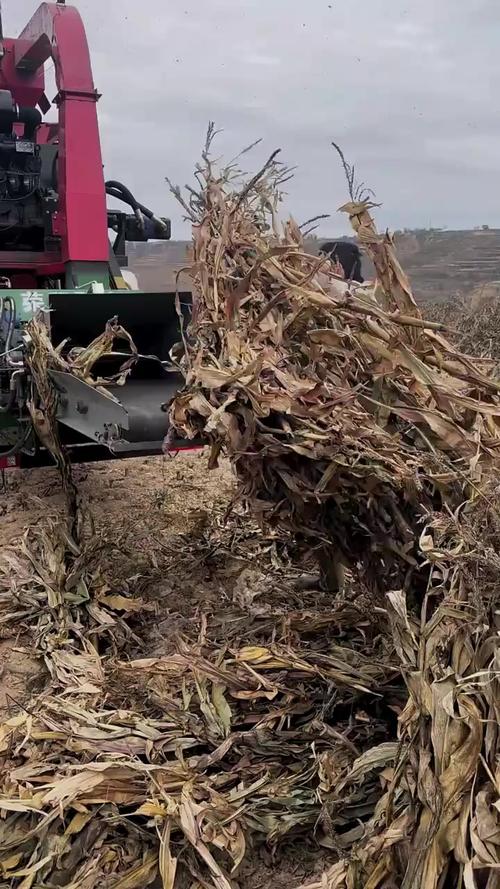 大型农用玉米秸秆打包机有何优势？-第2张图片-宁夏农业信息网