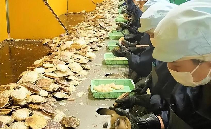 我国水产品出口面临哪些问题？-第2张图片-宁夏农业信息网