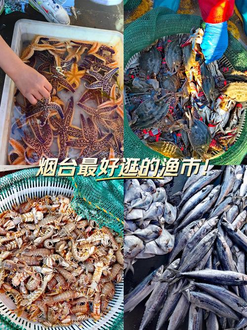 海洋渔业和水产业有何区别与联系？-第3张图片-宁夏农业信息网