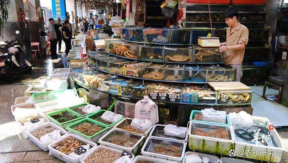 广州水产品批发市场有何特色与优势？-第1张图片-宁夏农业信息网