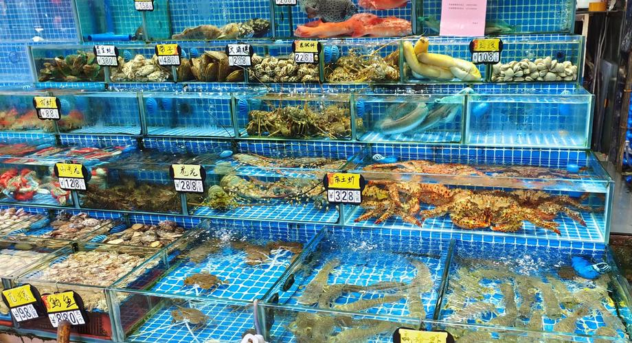 广州水产品批发市场有何特色与优势？-第3张图片-宁夏农业信息网