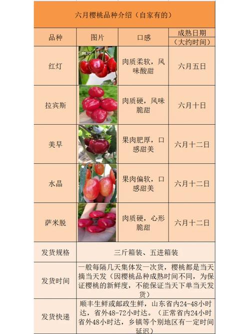 大樱桃优良品种有哪些？-第2张图片-宁夏农业信息网