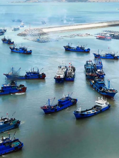 福建水产品发展前景如何？-第1张图片-宁夏农业信息网