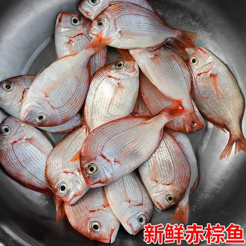 福建水产品发展前景如何？-第2张图片-宁夏农业信息网