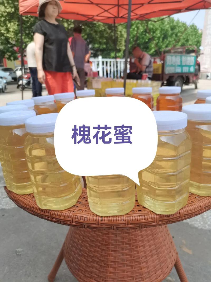养意蜂选什么品种好？-第2张图片-宁夏农业信息网
