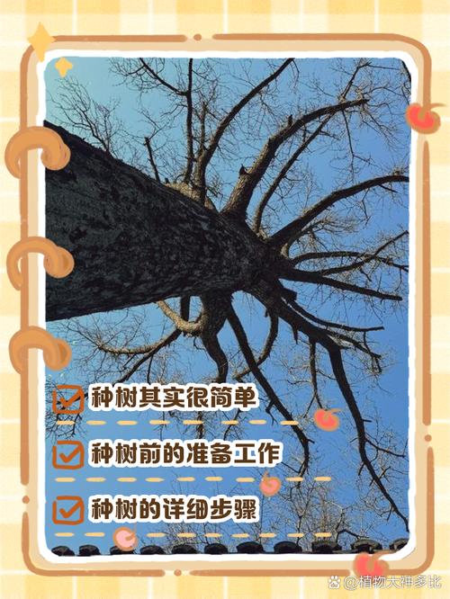 如何有效控制树木生长高度？-第3张图片-宁夏农业信息网