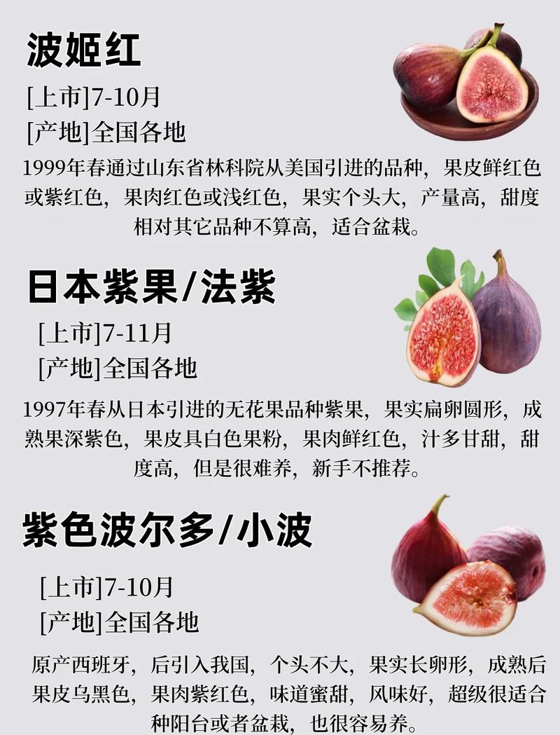 无花果品种有哪些？名称图片速览。-第2张图片-宁夏农业信息网