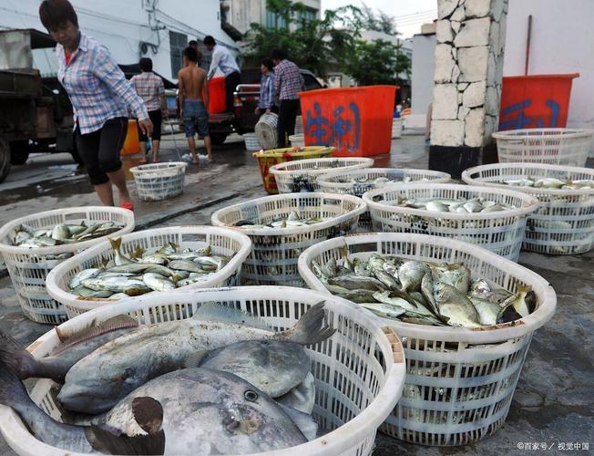 监利水产品生意到底能不能做？-第1张图片-宁夏农业信息网