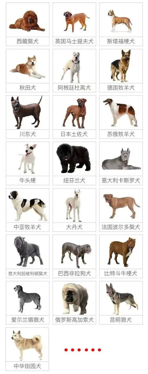 肉食狗品种怎么选才好养？-第3张图片-宁夏农业信息网