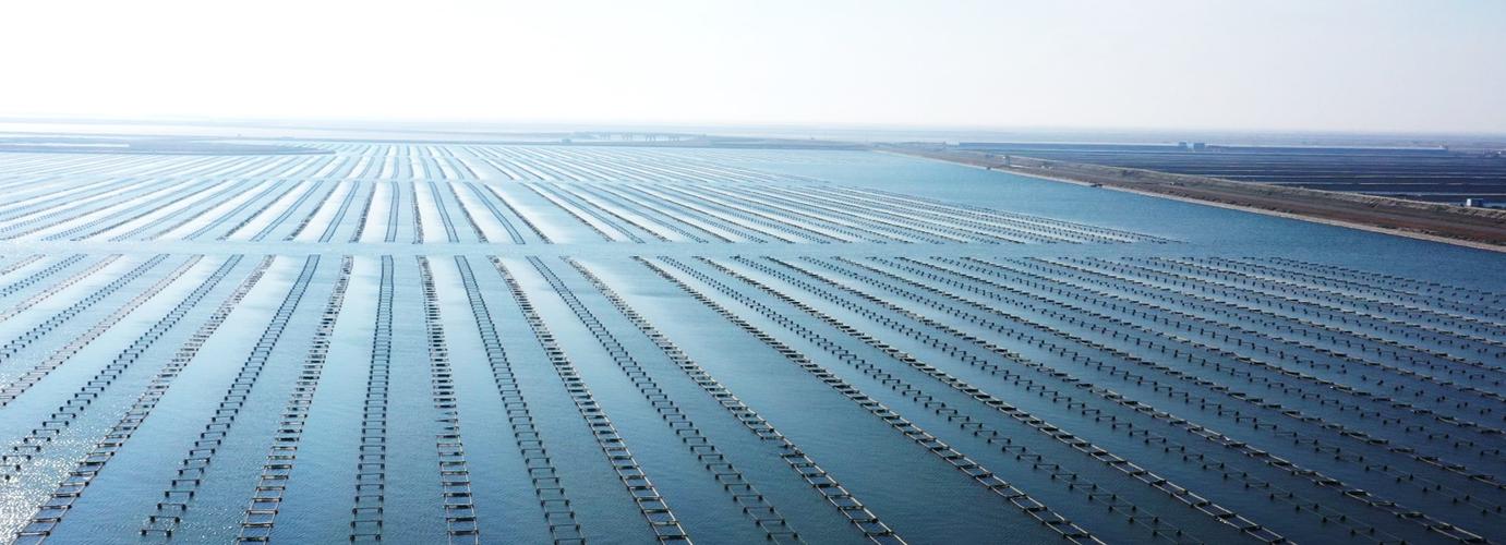 河北省农科院水产养殖有何创新成果？-第2张图片-宁夏农业信息网