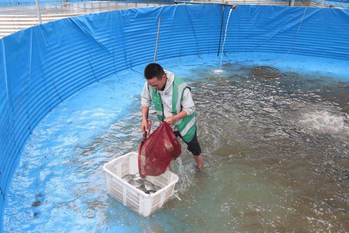 河北省农科院水产养殖有何创新成果？-第3张图片-宁夏农业信息网