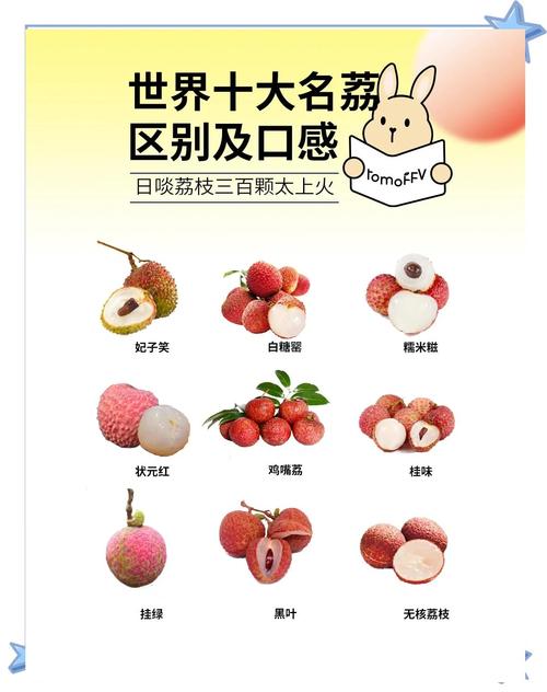 荔枝品种图片知多少？-第2张图片-宁夏农业信息网