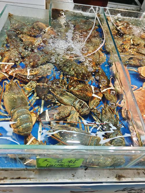 武汉水产品市场有几个？-第3张图片-宁夏农业信息网