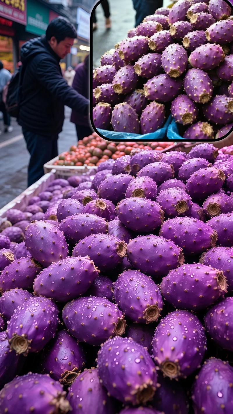 仙人掌开花品种有哪些？-第3张图片-宁夏农业信息网