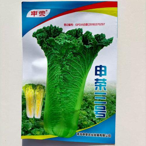 青麻叶大白菜有哪些常见品种？-第2张图片-宁夏农业信息网