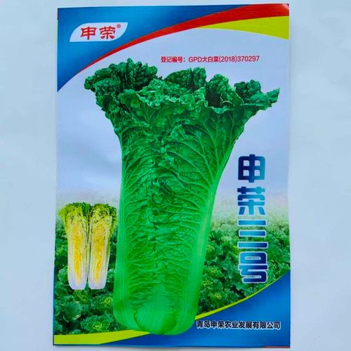青麻叶大白菜有哪些常见品种？-第3张图片-宁夏农业信息网