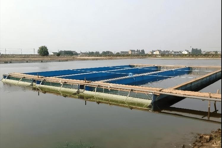 中国淡水产养殖网官网提供哪些信息？-第1张图片-宁夏农业信息网