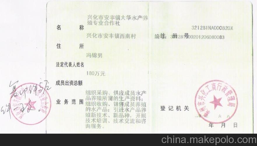 水产养殖合作社该如何高效运营？-第1张图片-宁夏农业信息网