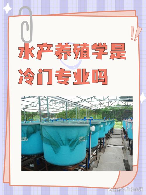 水产养殖合作社该如何高效运营？-第3张图片-宁夏农业信息网