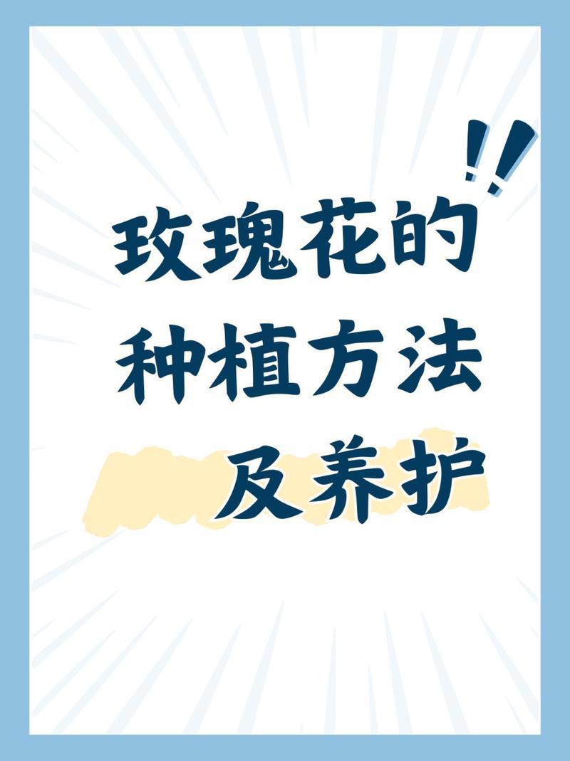 玫瑰花怎么种?方法是什么?-第1张图片-宁夏农业信息网 玫瑰花怎么种?方法是什么?-第1张图片-宁夏农业信息网