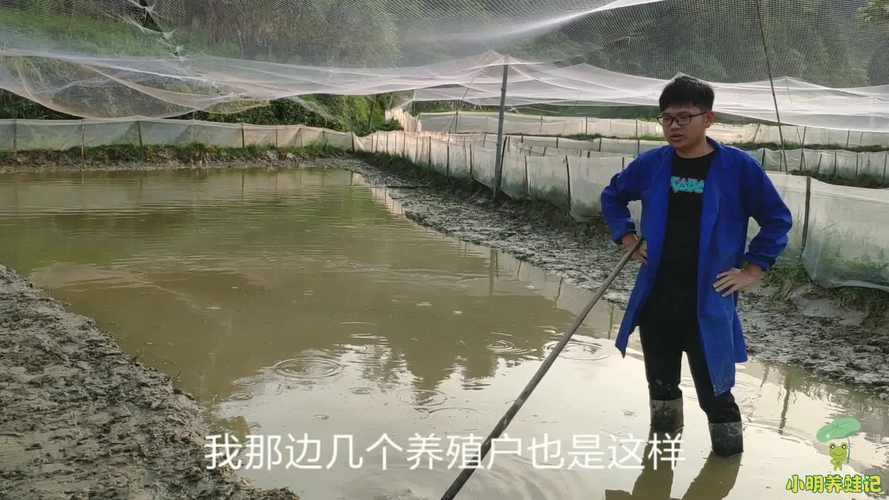 青蛙食台怎么制作？-第3张图片-宁夏农业信息网