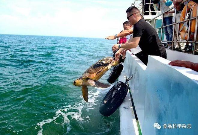 舟山市水产研究所招聘什么岗位？-第3张图片-宁夏农业信息网