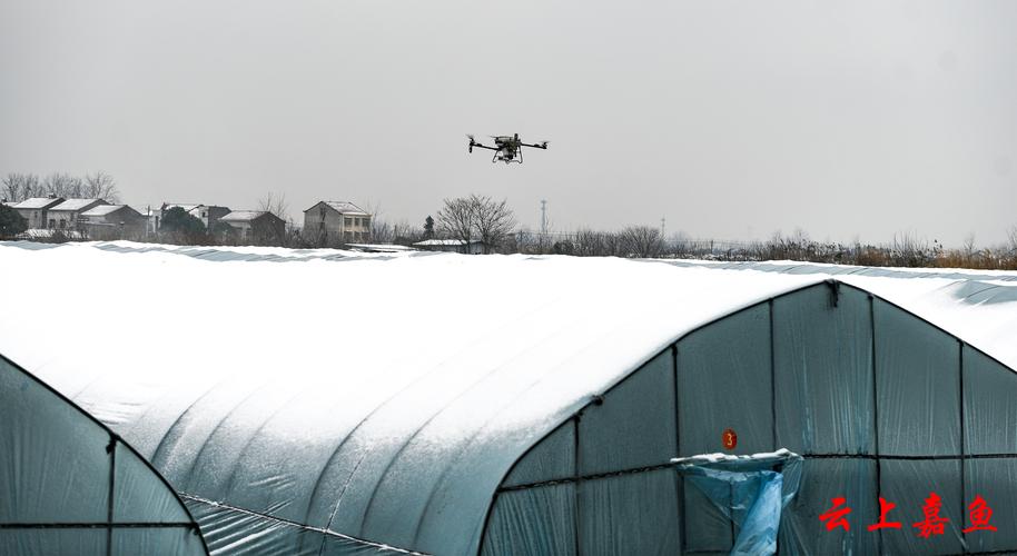 农用无人机撒除雪剂效果如何？-第1张图片-宁夏农业信息网
