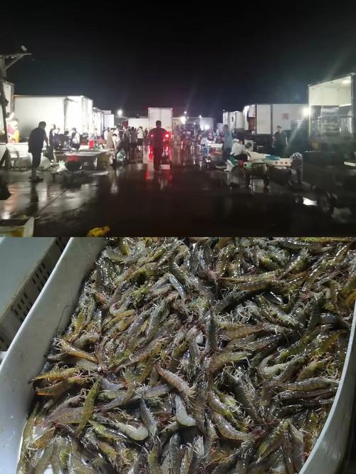 烟台最大水产批发市场在哪?-第1张图片-宁夏农业信息网 烟台最大水产批发市场在哪?-第1张图片-宁夏农业信息网